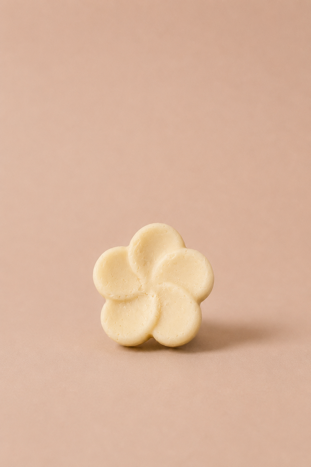 Festes Duschgel Duft Argan Orange-Vanille 50g